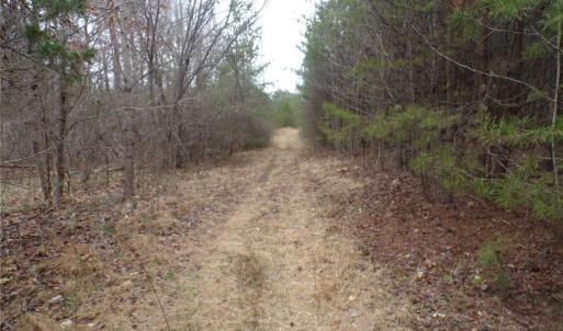 Photo #13 of 1809 Alamance Church, Greensboro, NC 16.4 acres