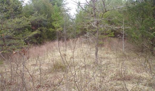 Photo #11 of 1809 Alamance Church, Greensboro, NC 16.4 acres