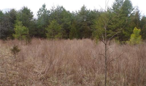 Photo #12 of 1809 Alamance Church, Greensboro, NC 16.4 acres