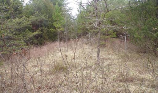 Photo #11 of 1809 Alamance Church, Greensboro, NC 16.4 acres