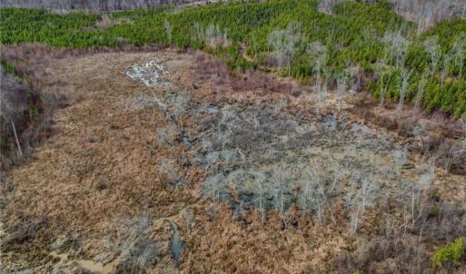Photo #22 of Lick Fork Creek, Reidsville, NC 96.3 acres