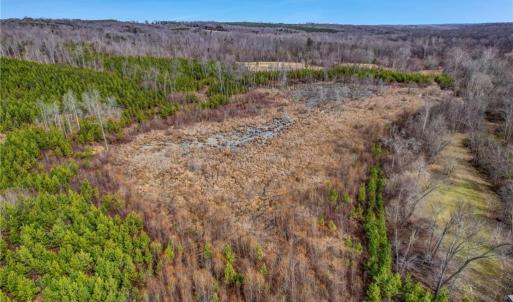 Photo #20 of Lick Fork Creek, Reidsville, NC 96.3 acres