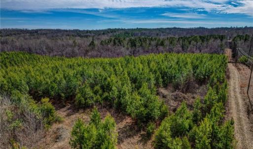 Photo #9 of Lick Fork Creek, Reidsville, NC 96.3 acres