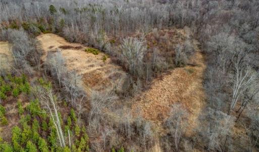 Photo #23 of Lick Fork Creek, Reidsville, NC 96.3 acres