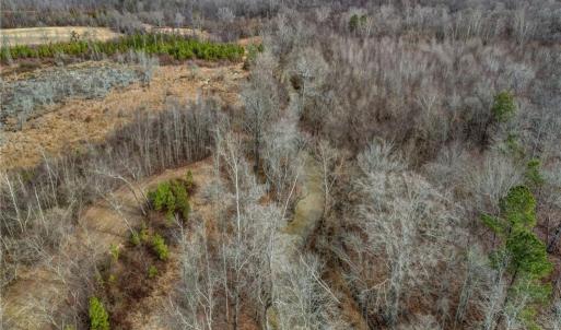 Photo #27 of Lick Fork Creek, Reidsville, NC 96.3 acres