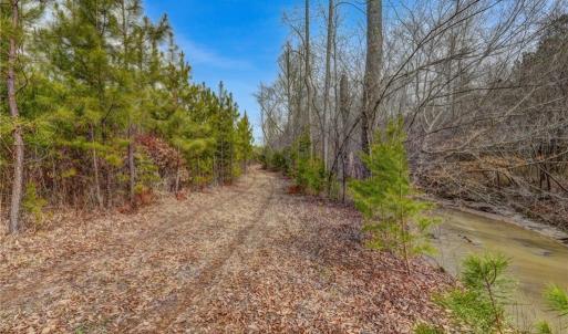 Photo #17 of Lick Fork Creek, Reidsville, NC 96.3 acres