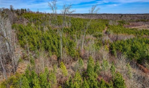 Photo #12 of Lick Fork Creek, Reidsville, NC 96.3 acres