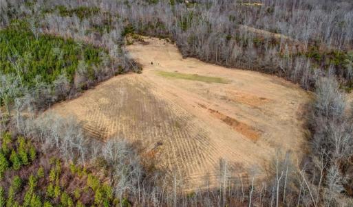 Photo #24 of Lick Fork Creek, Reidsville, NC 96.3 acres