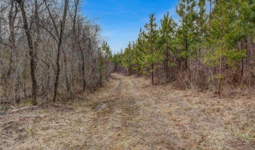 Photo #18 of Lick Fork Creek, Reidsville, NC 96.3 acres