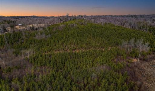 Photo #4 of Lick Fork Creek, Reidsville, NC 96.3 acres