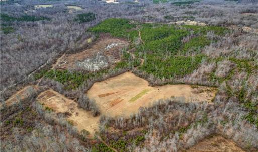 Photo #25 of Lick Fork Creek, Reidsville, NC 96.3 acres