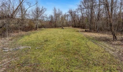 Photo #13 of Lick Fork Creek, Reidsville, NC 96.3 acres