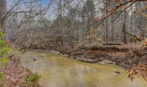 Photo #16 of Lick Fork Creek, Reidsville, NC 96.3 acres