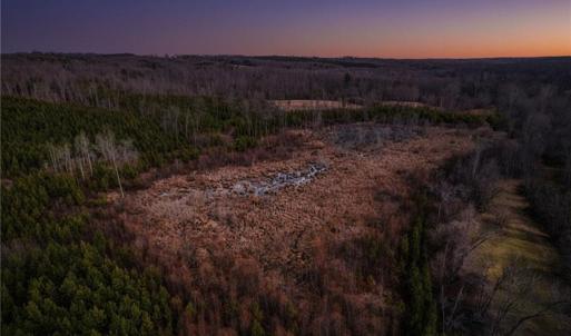 Photo #3 of Lick Fork Creek, Reidsville, NC 96.3 acres