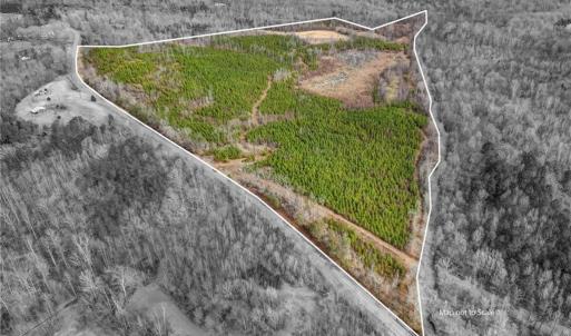 Photo #1 of Lick Fork Creek, Reidsville, NC 96.3 acres