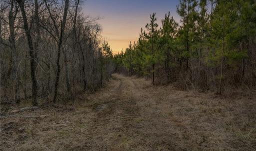 Photo #5 of Lick Fork Creek, Reidsville, NC 96.3 acres