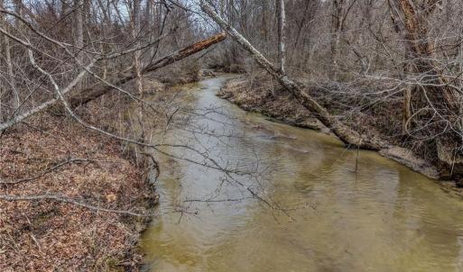 Photo #14 of Lick Fork Creek, Reidsville, NC 96.3 acres