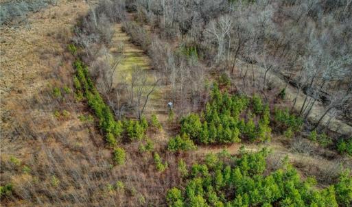 Photo #11 of Lick Fork Creek, Reidsville, NC 96.3 acres