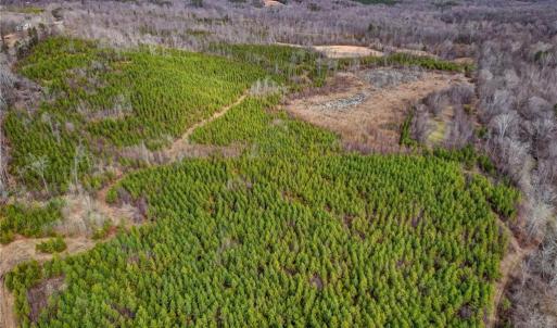 Photo #29 of Lick Fork Creek, Reidsville, NC 96.3 acres