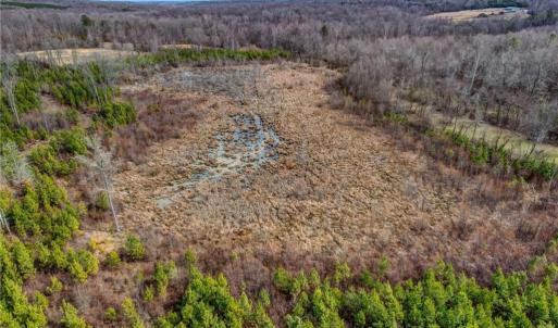 Photo #21 of Lick Fork Creek, Reidsville, NC 96.3 acres