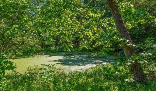 Photo #6 of Mills, Mount Airy, NC 13.0 acres