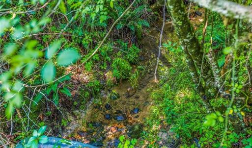 Photo #5 of Mills, Mount Airy, NC 13.0 acres