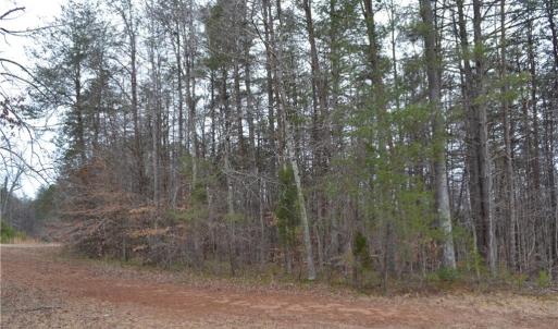 Photo #6 of 8.6 Acres Davie, Madison, NC 8.6 acres
