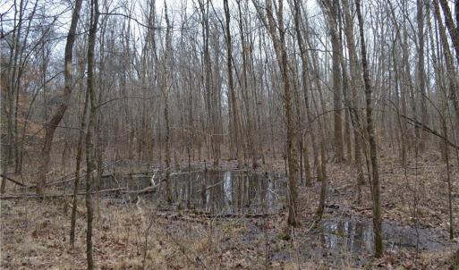Photo #12 of 8.6 Acres Davie, Madison, NC 8.6 acres
