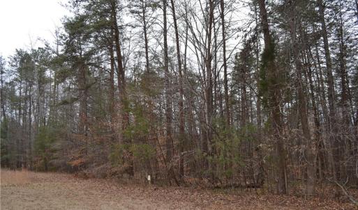 Photo #5 of 8.6 Acres Davie, Madison, NC 8.6 acres