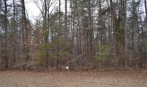 Photo #9 of 8.6 Acres Davie, Madison, NC 8.6 acres