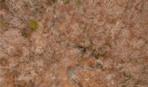 Photo #25 of Dearmin, Westfield, NC 4.6 acres