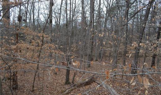 Photo #22 of 17.2 Acres Davie, Madison, NC 17.2 acres
