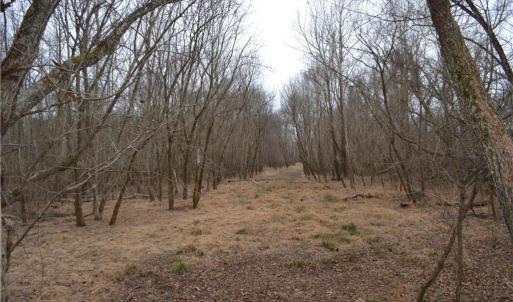 Photo #4 of 17.2 Acres Davie, Madison, NC 17.2 acres