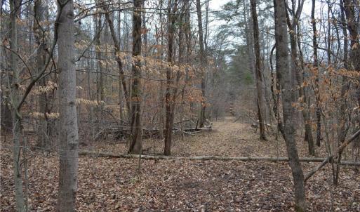 Photo #10 of 17.2 Acres Davie, Madison, NC 17.2 acres