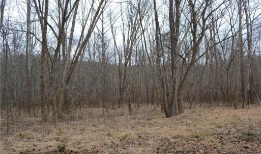 Photo #15 of 17.2 Acres Davie, Madison, NC 17.2 acres