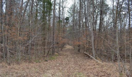Photo #8 of 17.2 Acres Davie, Madison, NC 17.2 acres