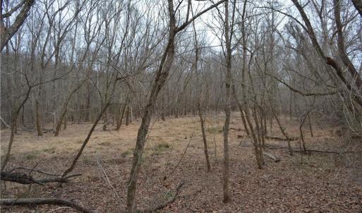 Photo #14 of 17.2 Acres Davie, Madison, NC 17.2 acres