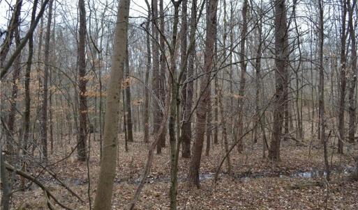 Photo #11 of 17.2 Acres Davie, Madison, NC 17.2 acres