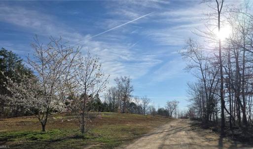 Photo #1 of 199 Rose of Sharon, Lexington, NC 1.7 acres