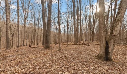 Photo #7 of 174 Mistral, Denton, NC 1.8 acres