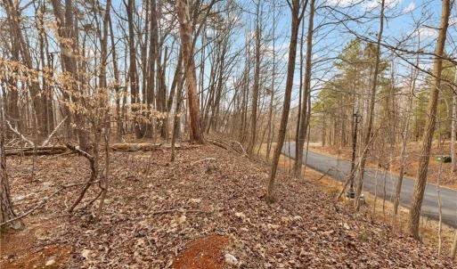 Photo #4 of 174 Mistral, Denton, NC 1.8 acres