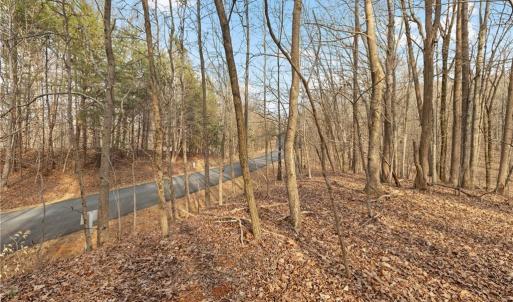 Photo #7 of 174 Mistral, Denton, NC 1.8 acres