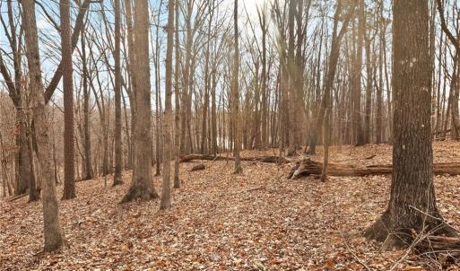 Photo #3 of 174 Mistral, Denton, NC 1.8 acres