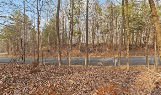 Photo #5 of 174 Mistral, Denton, NC 1.8 acres