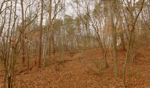 Photo #12 of 3361 NC Highway 66, Westfield, NC 12.9 acres