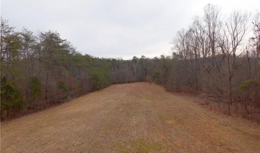 Photo #5 of 3361 NC Highway 66, Westfield, NC 12.9 acres