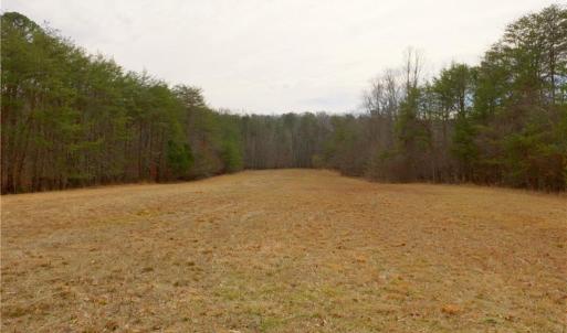 Photo #10 of 3361 NC Highway 66, Westfield, NC 12.9 acres