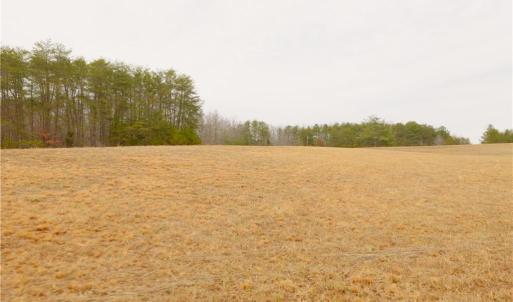 Photo #14 of 3361 NC Highway 66, Westfield, NC 12.9 acres