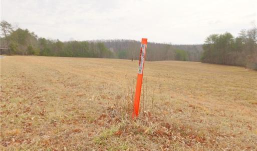 Photo #15 of 3361 NC Highway 66, Westfield, NC 12.9 acres