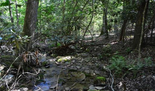 Photo #28 of Tract C NC Highway 89, Danbury, NC 21.0 acres